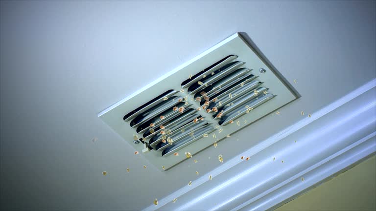 Best Professional Duct Cleaning Services  in Gray Summit, MO