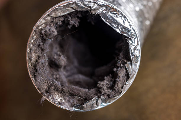 Best Ductwork Cleaning Services  in Gray Summit, MO